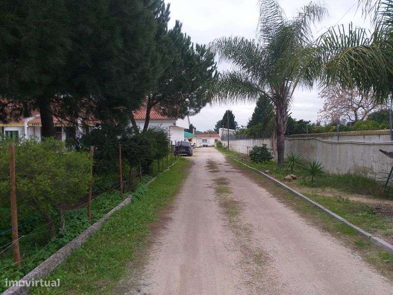 T0 moderno a estrear em Terrim ( Pinhal Novo)