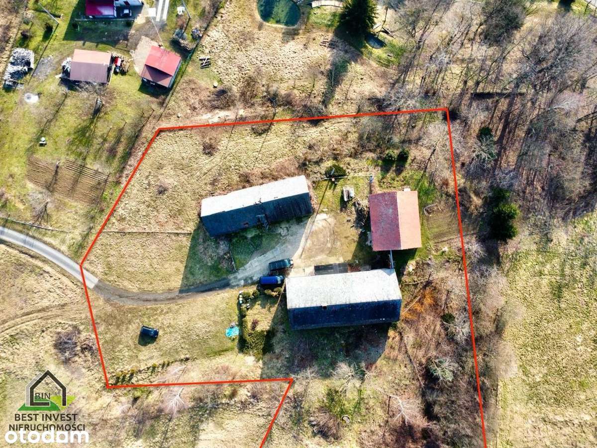 Gospodarstwo bez sąsiadów z widokiem na góry - Pełny obrazek: 4/19