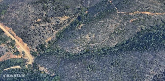 Terreno de Medronheiros para Venda na Serra de Monchique – O seu futur-5