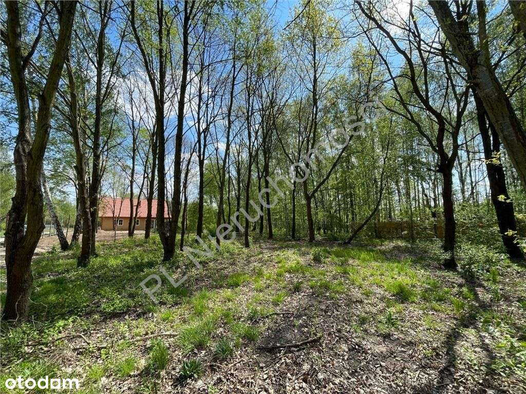 Słoneczna działka w Milanówku wśród zieleni