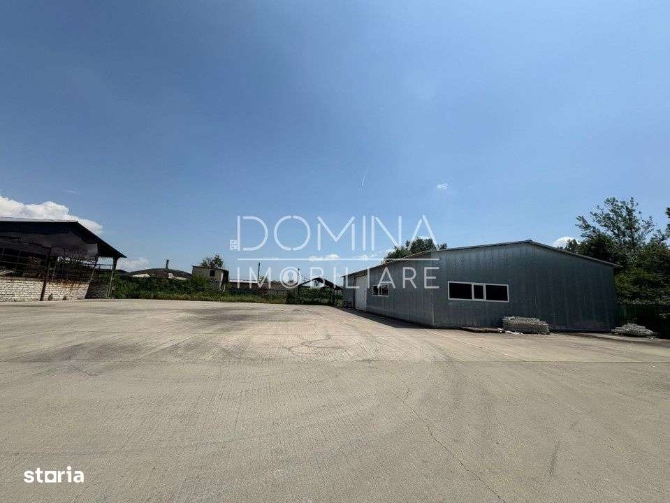 Complex industrial multifunctional – pozitie strategica, Targu Jiu - Imagine principală: 2/10