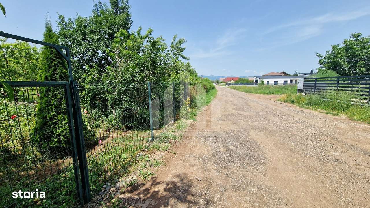 Teren intre Alba-Micesti, partea dreapta - Imagine principală: 5/8