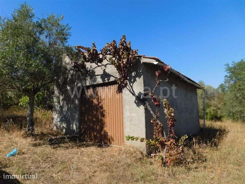 Terreno / Fundão, Capinha - Grande imagem: 4/5