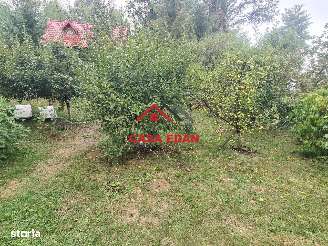 Casa in Provita--95.000e-6