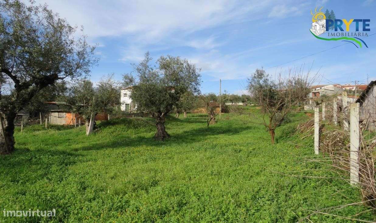 Lote para construção com ruínas e um poço situado na Sertã - Grande imagem: 4/13