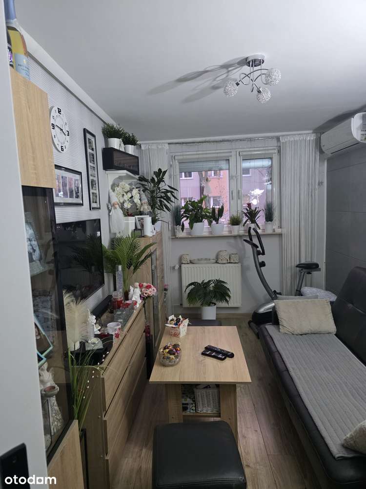 Błonie - Pełny obrazek: 4/12