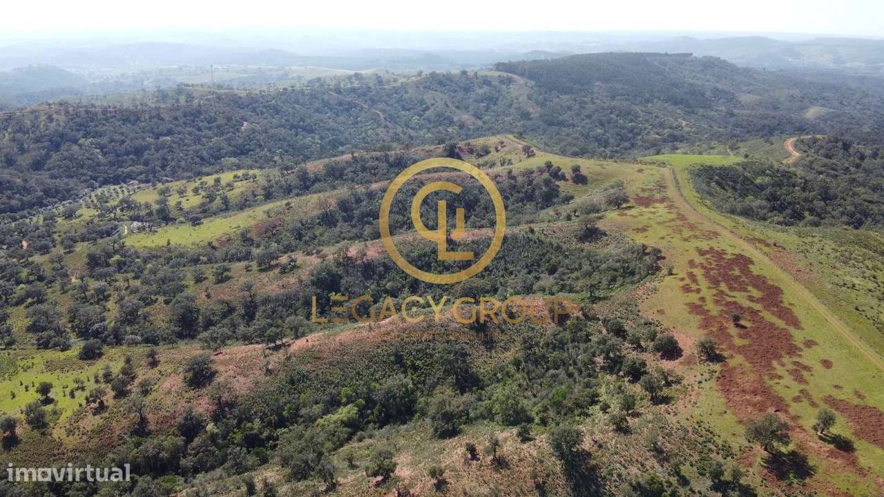 Herdade de 60 ha em Odemira - Grande imagem: 4/47