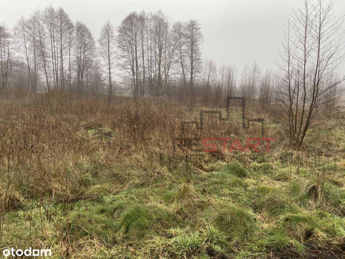 Działka w Zboiskach gm. Radziejowice - Pełny obrazek: 5/5