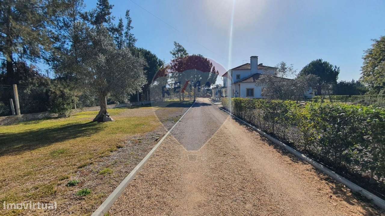 Quinta T4 para venda - Grande imagem: 5/47