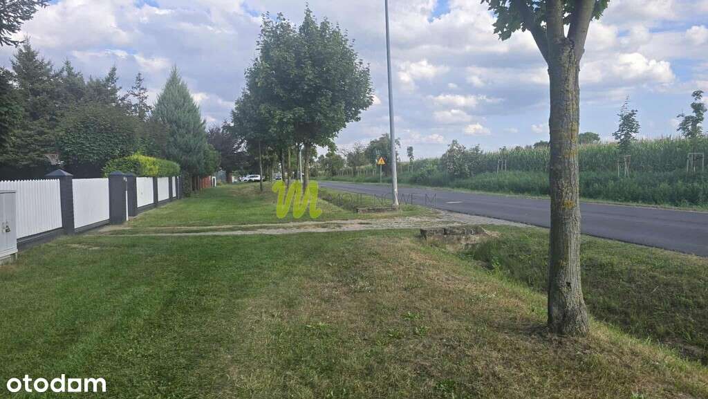 działka budowlana, z trawnikiem i drzewami - Pełny obrazek: 5/8