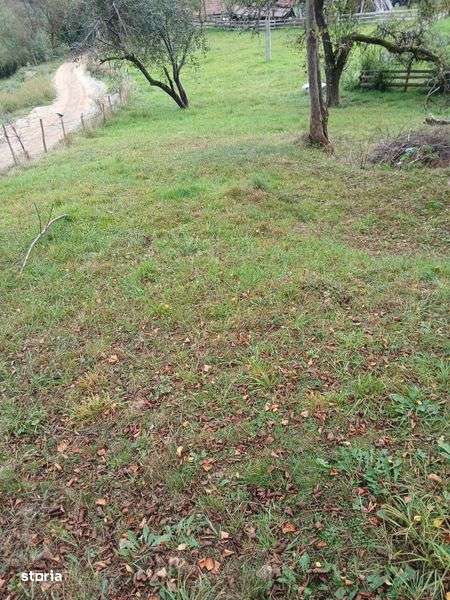 Teren de vanzare - Imagine principală: 4/4