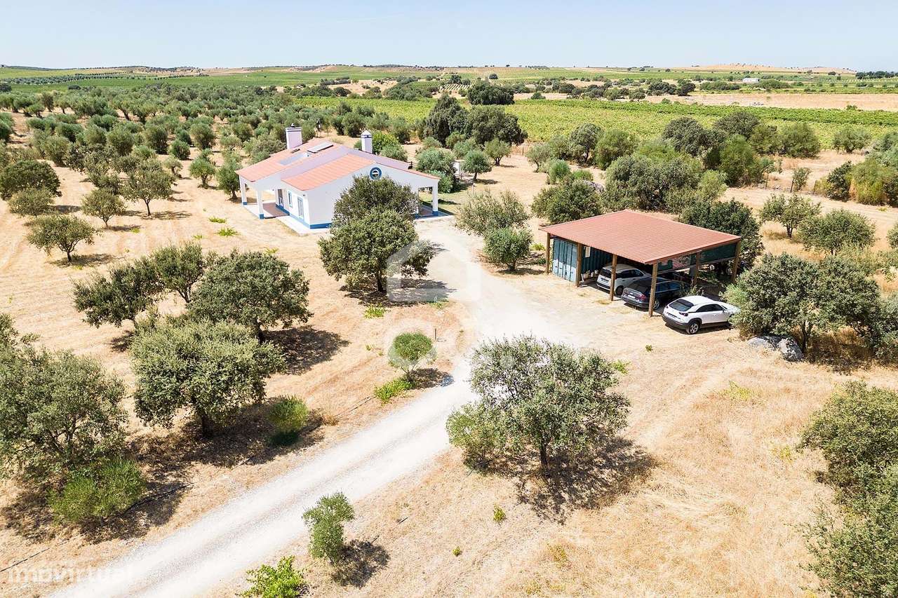 Quinta de 1,29 ha c/ Moradia T4 e Piscina | Reguengos de Monsaraz, Évo-55