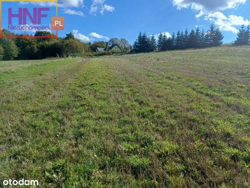 działka budowlano-rolna 23ar Koniuszowa - Pełny obrazek: 4/20