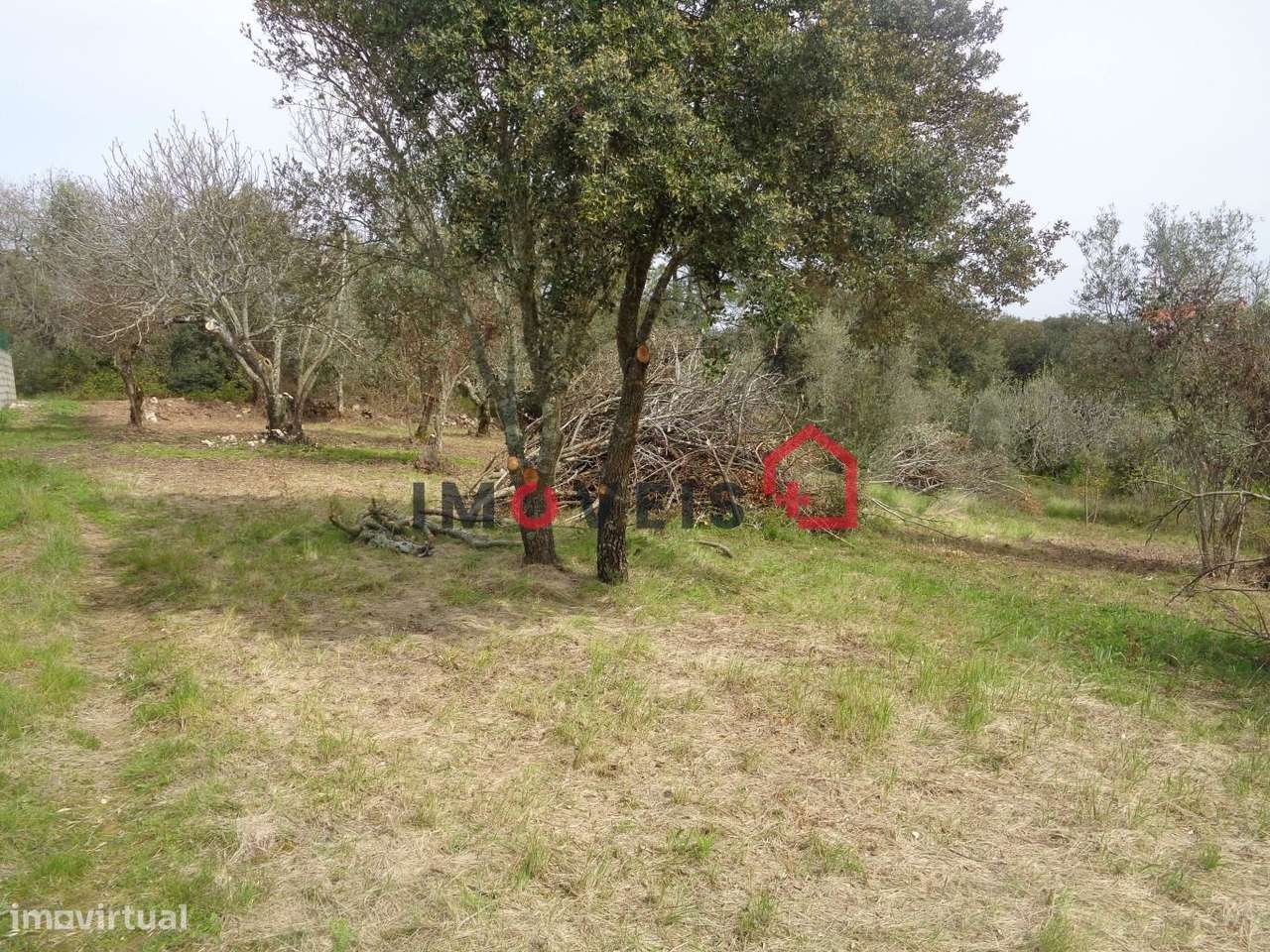 Terreno - Grande imagem: 3/3