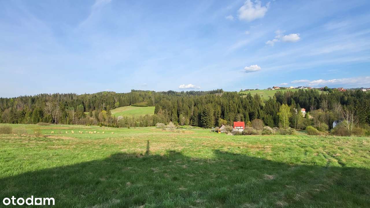 Działka rolno - budowlana, 2600 m2, Jaworzynka - Pełny obrazek: 4/9