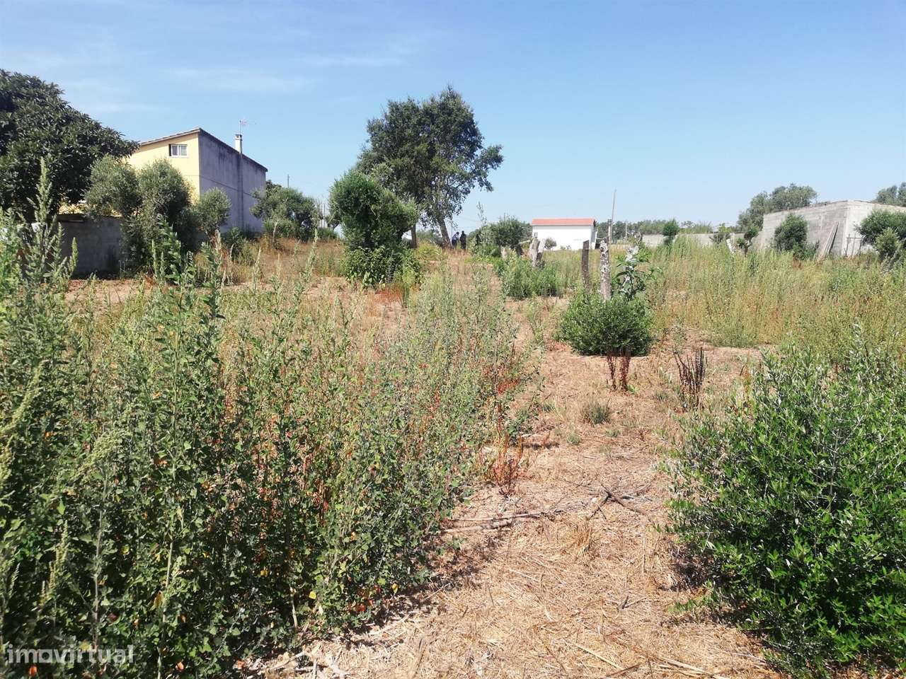 Terreno Ortigosa - Grande imagem: 5/5