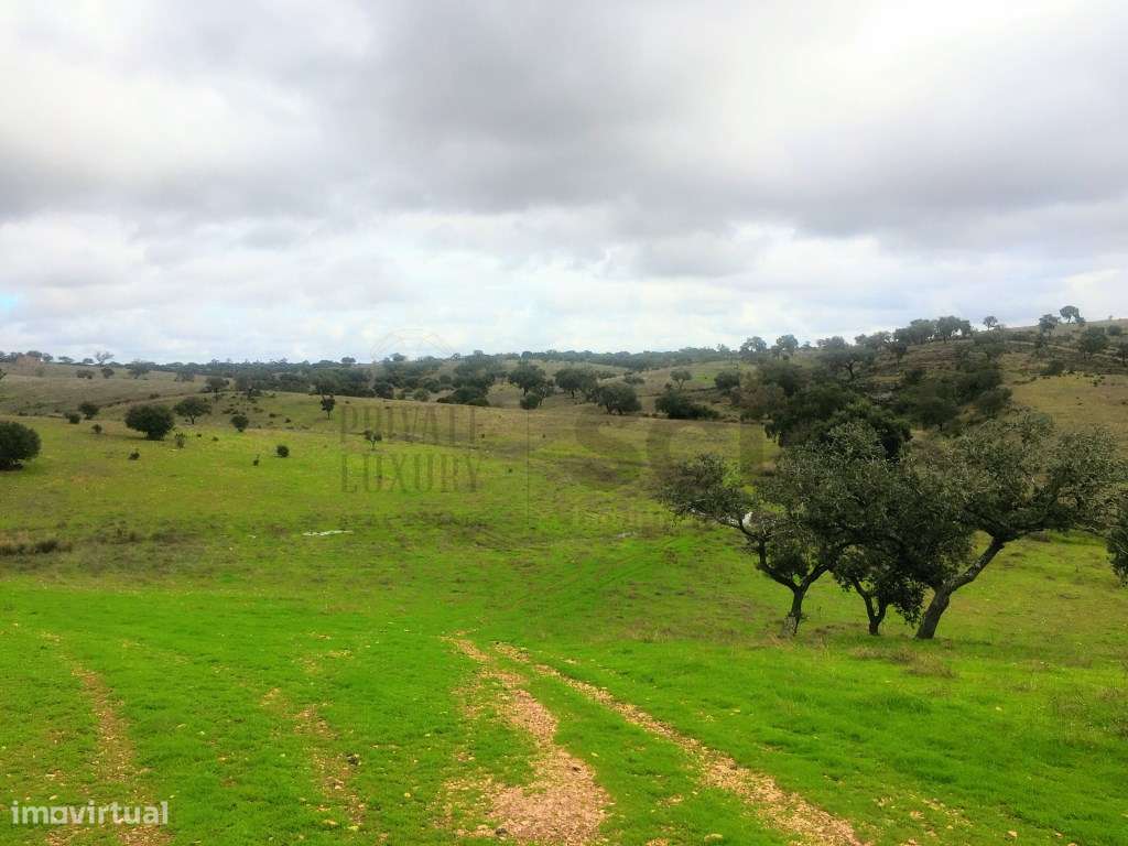 Quinta com uma ribeira e uma vista fantástica em Vila Nova de S. Be... - Grande imagem: 5/60