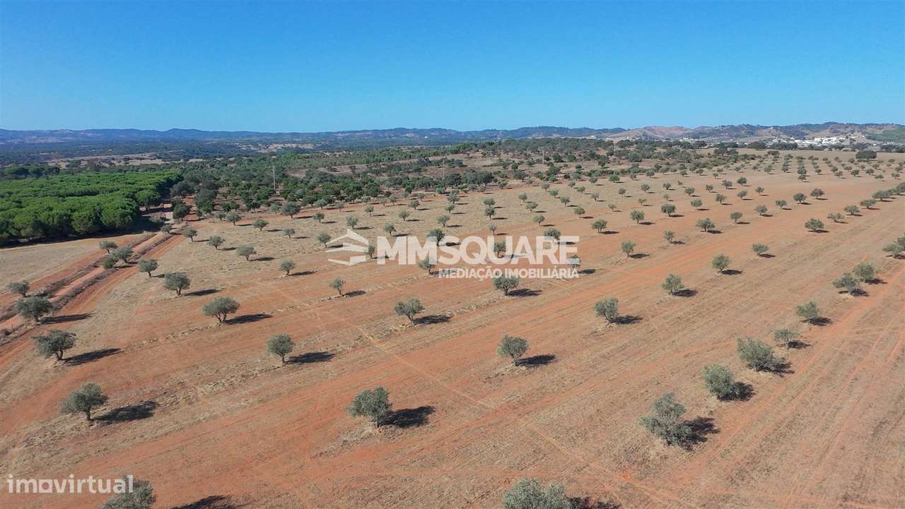 Herdade  Venda em Garvão e Santa Luzia,Ourique-16