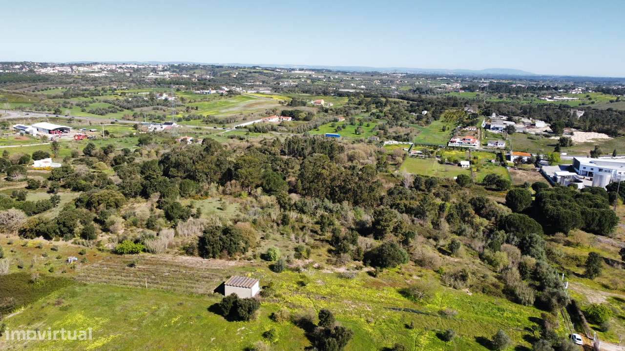 Apresento terreno agrícola, no Cartaxo com área total de 12 200 m2-11