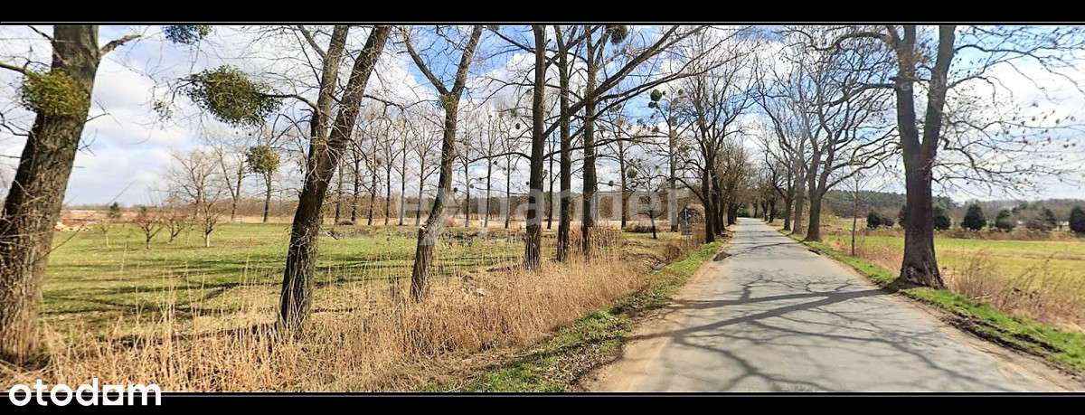 Działka z zarybionym stawem 13310m2 Stroszki - Pełny obrazek: 4/6