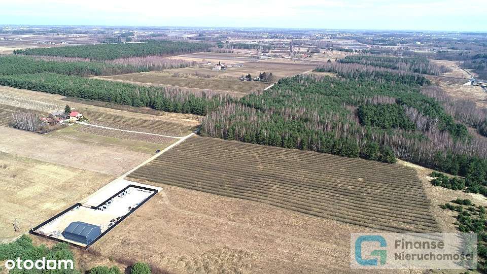 Działka inwestycyjna, Żurawia, Niższa Cena! - Pełny obrazek: 4/14