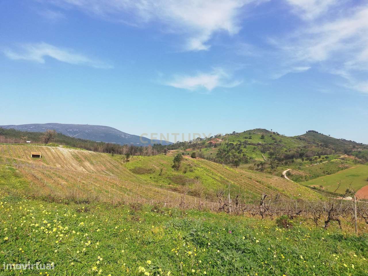 Terreno Rústico Meca - Alenquer - Grande imagem: 4/13