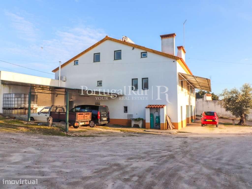 Unidade Industrial de Produção de Azeite & Elevado Potencial Produtivo-12