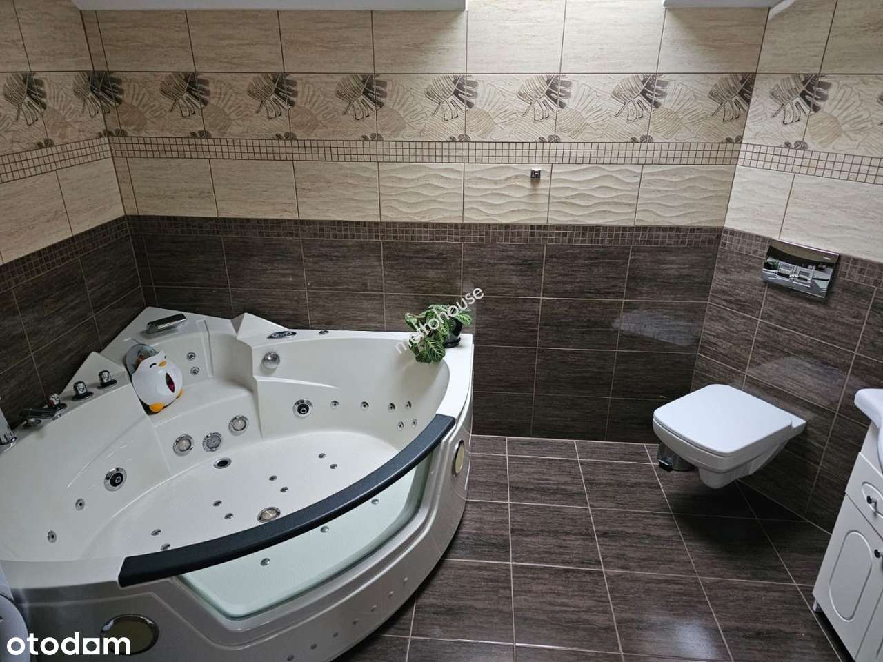 Dom, 159 m², Połchowo-12