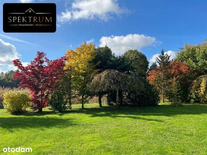 Zakochasz  się  w tym  miejscu !  Jest  niepowtarz-19