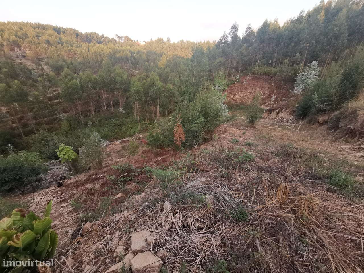 Terreno em Folgosa da Maia-4