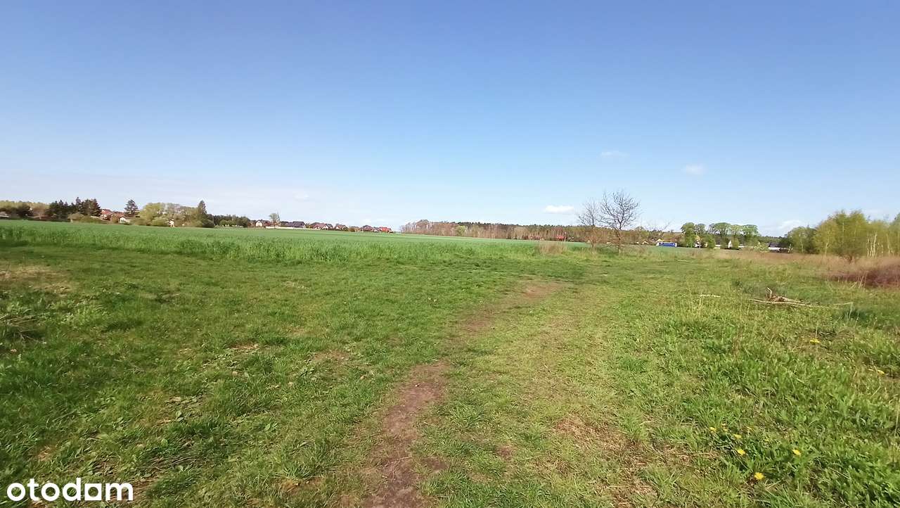 KONINKO | DZIAŁKA BUDOWLANA Z PNB - Pełny obrazek: 4/9