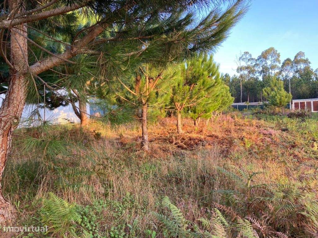 Terreno rustico / Lameira / Ortigosa - Grande imagem: 5/5