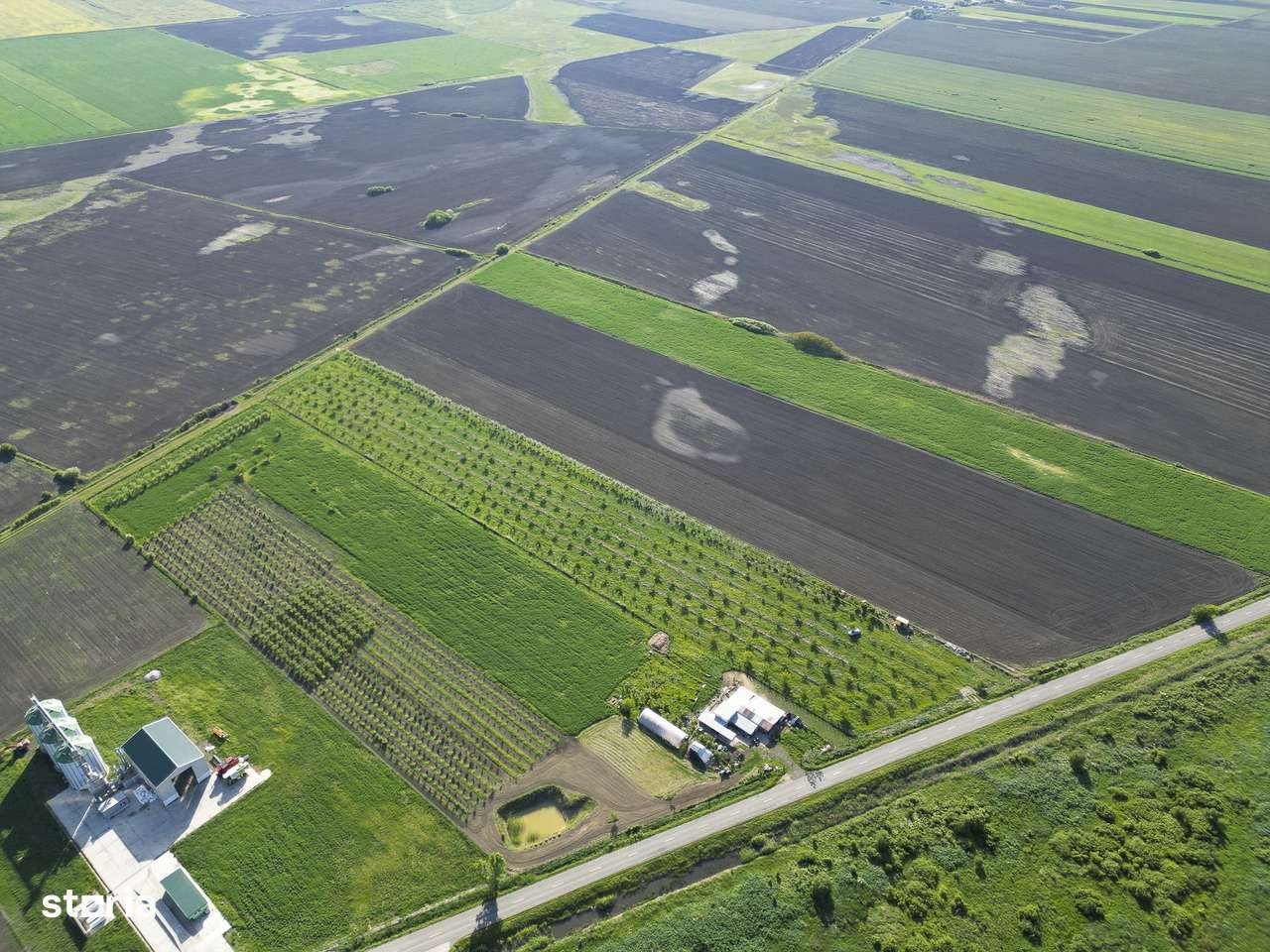 Livadă de nuci și pruni 2.4ha în Variașu Mare - Imagine principală: 5/20