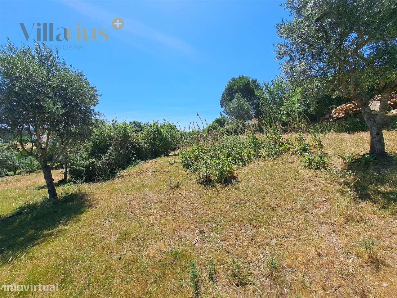Terreno Urbano com Vista e Acesso Rápido a Tomar | Villarius Imobiliár-20