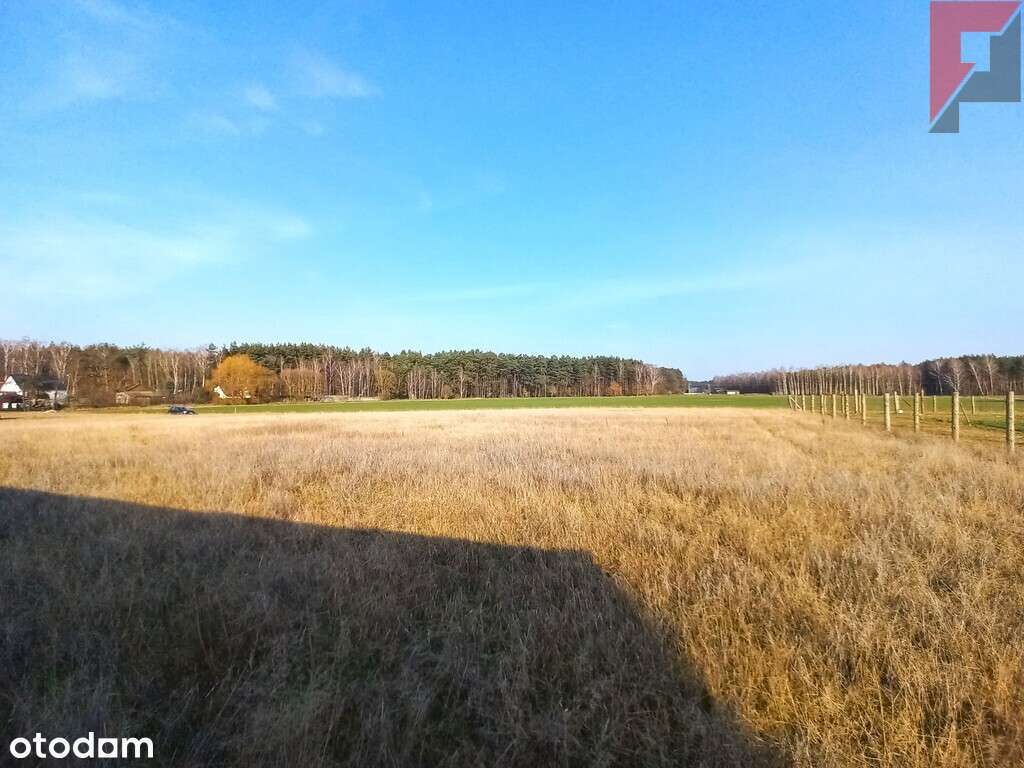 Działka idealna pod zabudowę domu w Sątopach - Pełny obrazek: 5/9