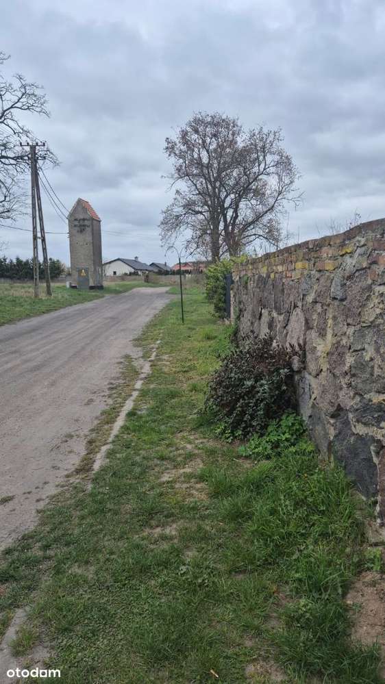 Dom w Starkowie z działką-10