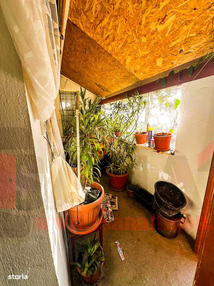 Casa in Bradu | 700 mp Teren | Acces Asfalt | Oportunitate Excelenta-13