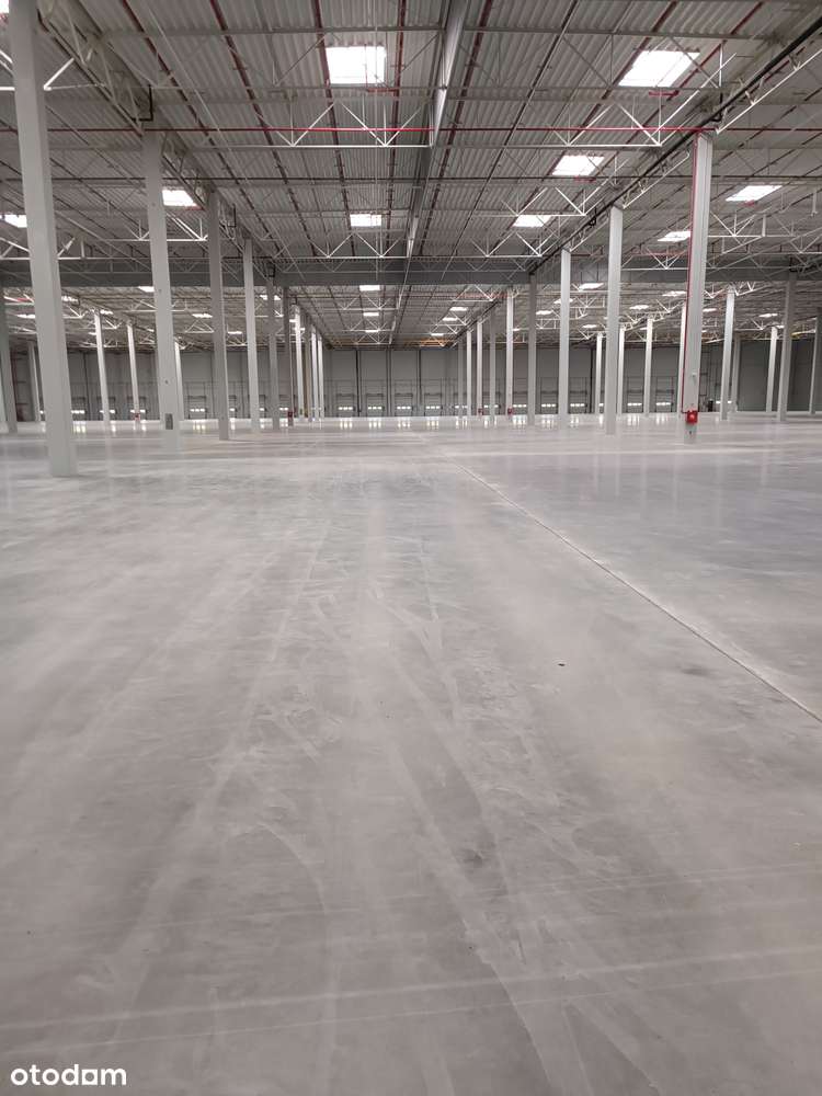 Nowa Halam Klasy A, 12000m2  z możliwością rozbudowy Zgierz-2