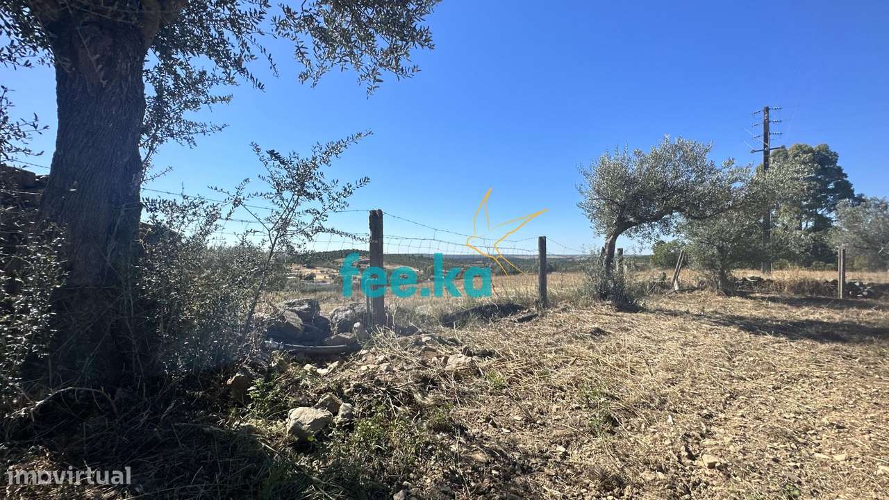 Quintinha em Monfortinho-19