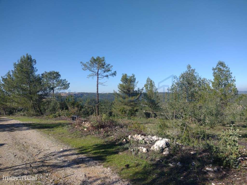 Terreno de 1505m2 urbanizável em Ortiga, Fátima com vista Castelo O...-9