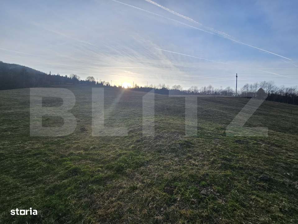 Teren intravilan de 16667 mp, Sosea de Centura, Abrud - Imagine principală: 5/5