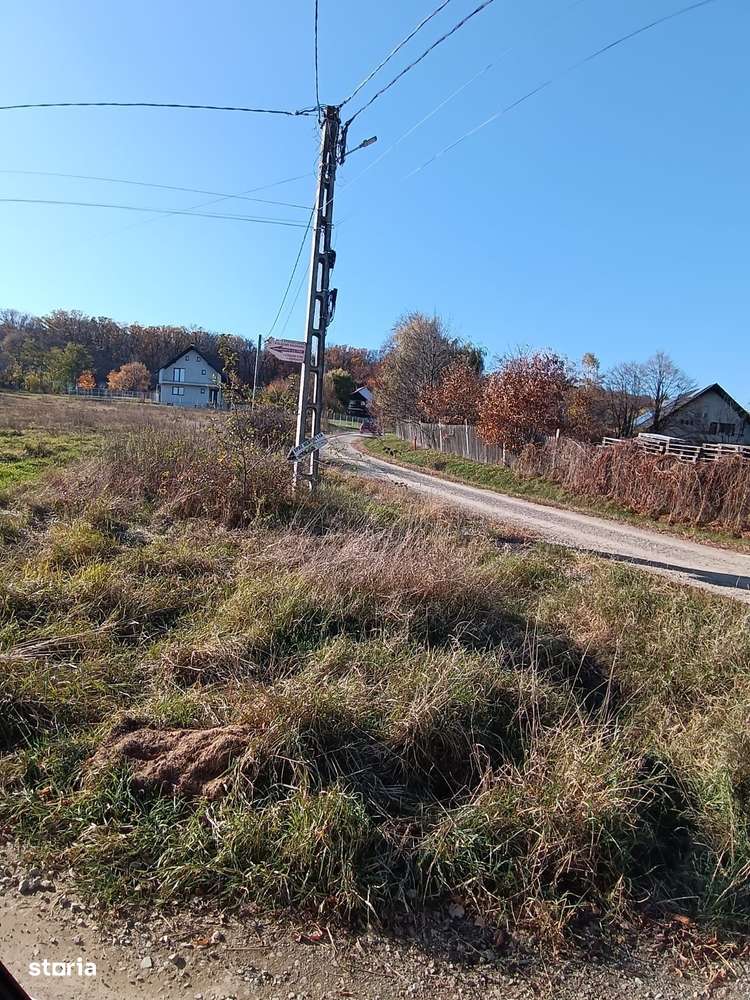 Teren langa Padure Dragomirna 40 Ari ISuceava/Dragomirna I 64.000Euro - Imagine principală: 5/7