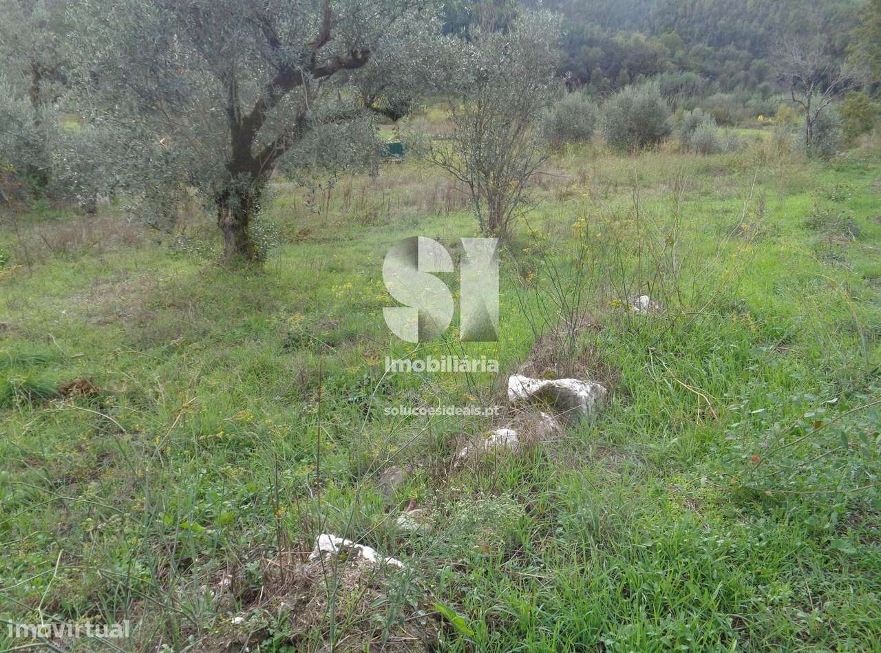 Terreno-Constr. Lousã - Grande imagem: 4/11