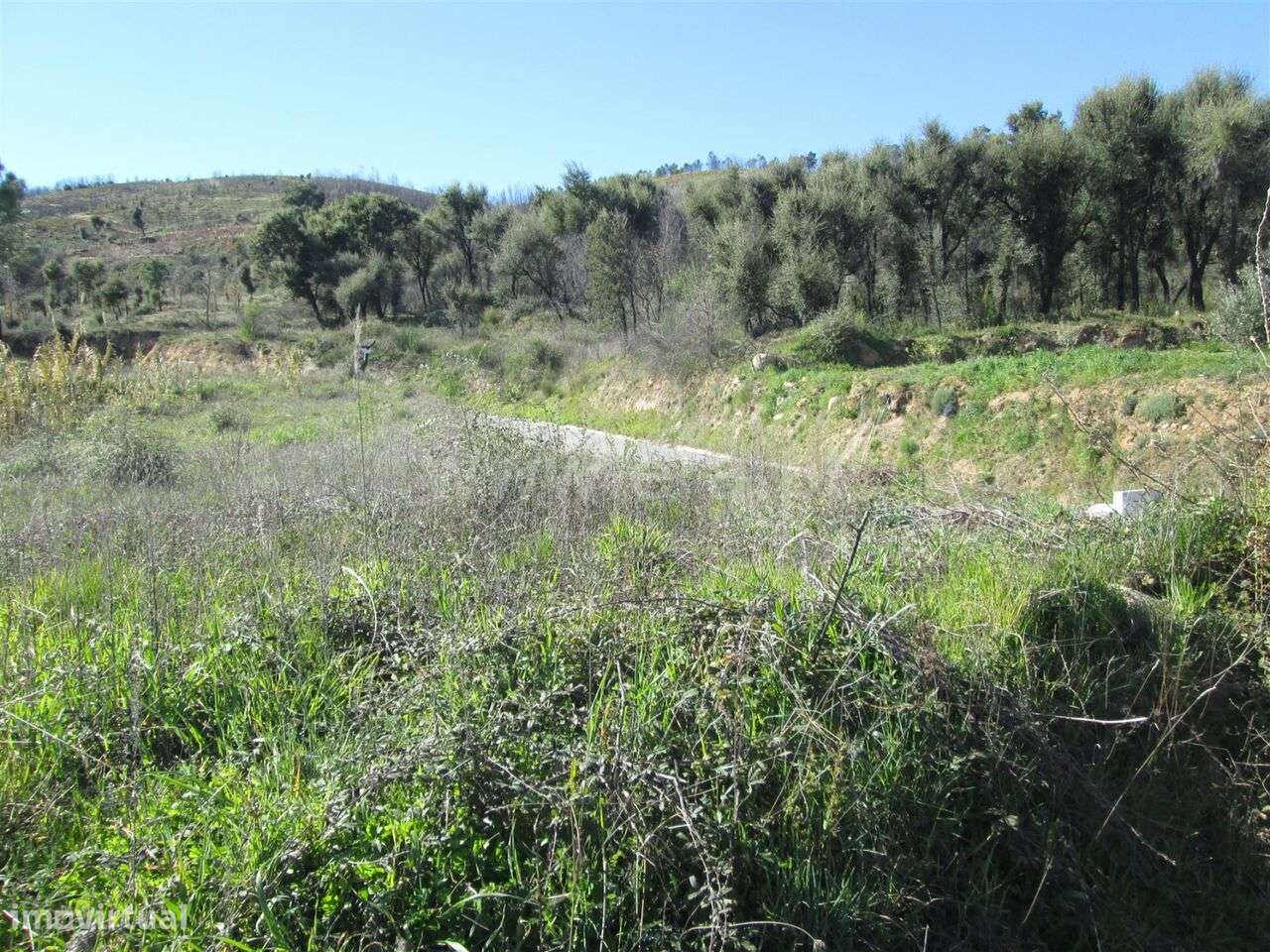 Terreno / Fundão, Telhado - Grande imagem: 3/6