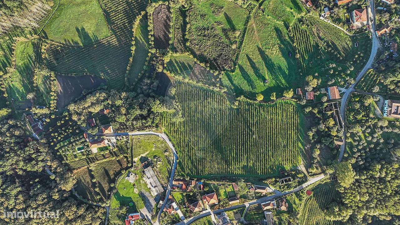 Quinta  para venda - Grande imagem: 2/25