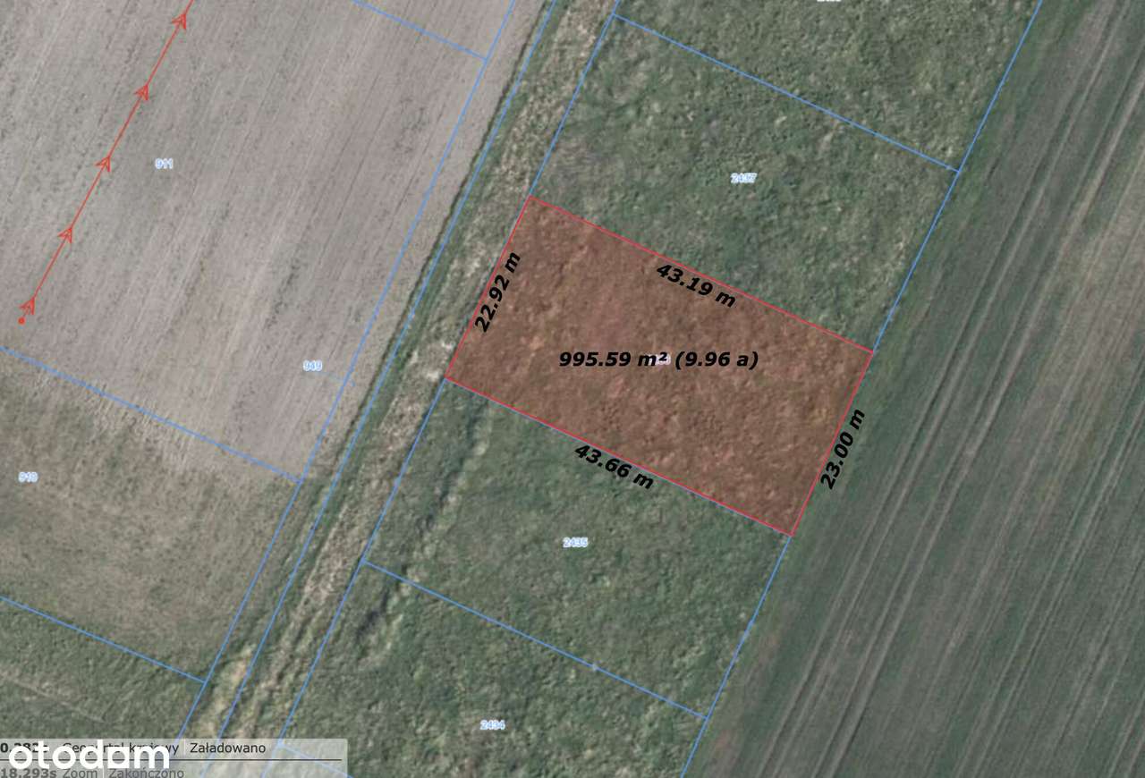 966 m² spokoju- Czarnowąsy czekają - Pełny obrazek: 4/9