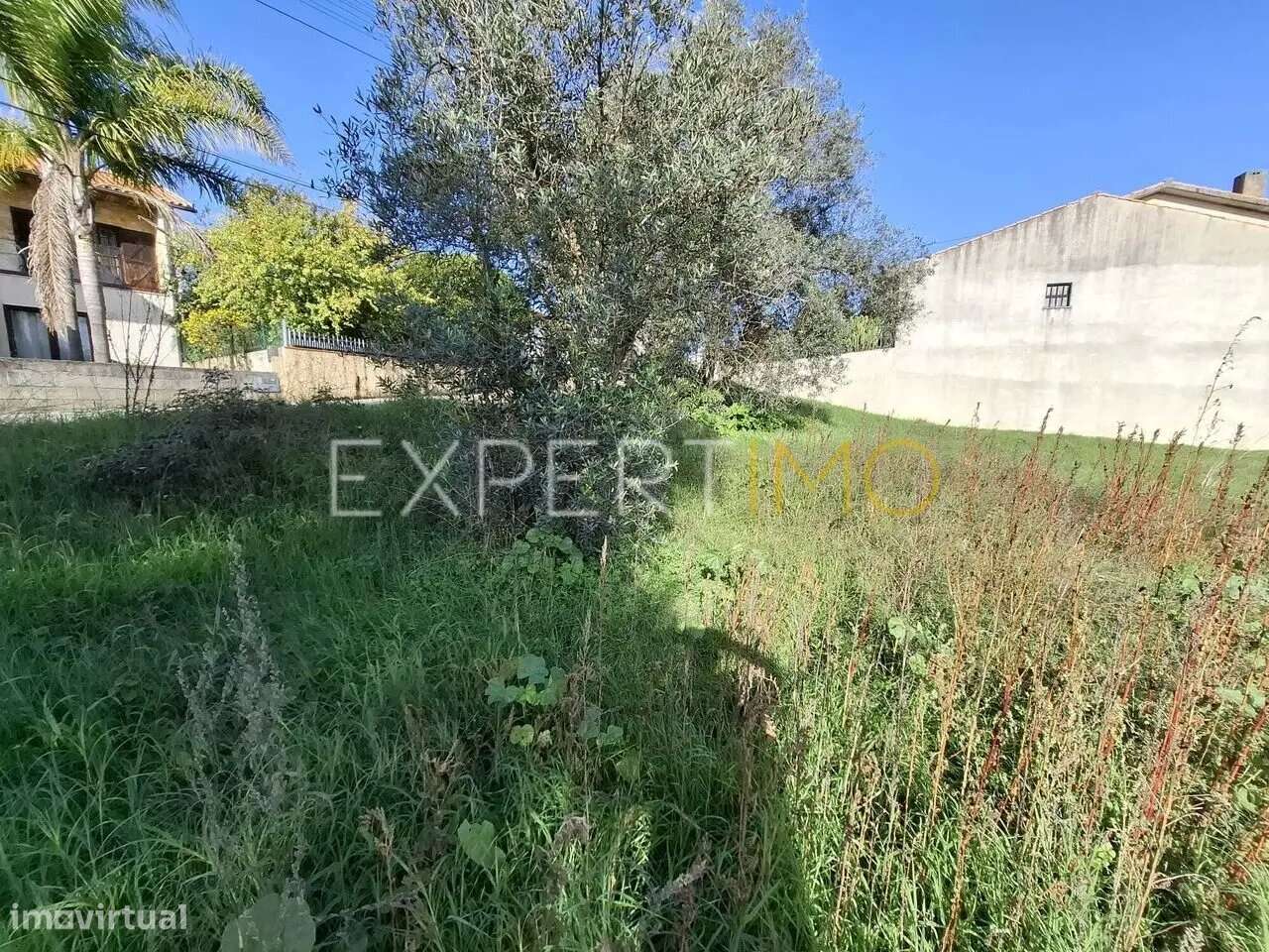 Terreno Urbanizável rua do cotovelo, Sangalhos, Anadia - Grande imagem: 4/10