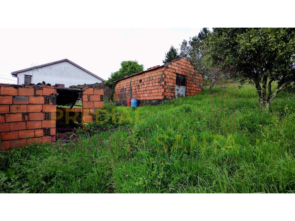 Moradia M2. Anexos-Pátio-Terreno-15 Km Coimbra-13