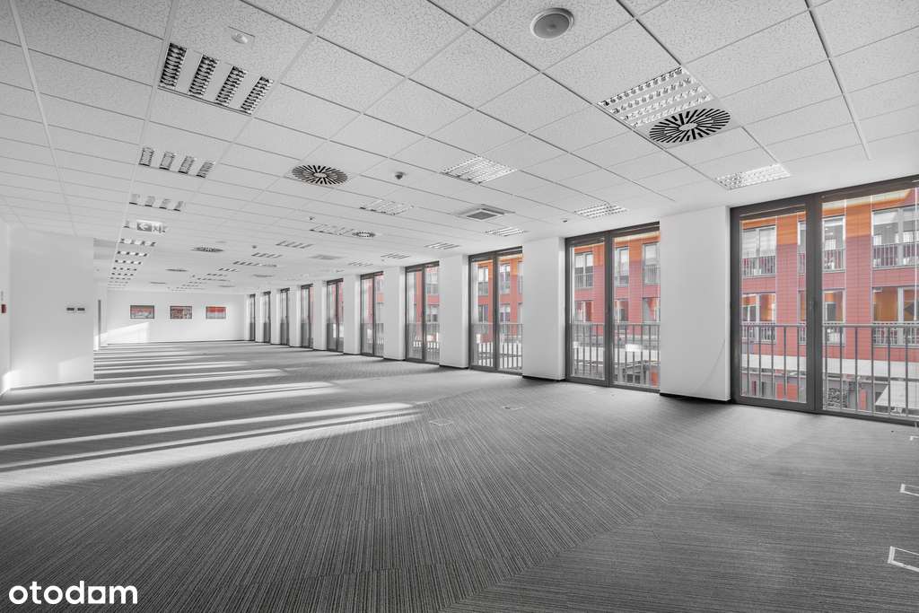 Zabłocie. Gotowe do wejścia w świetnym miejscu! - Pełny obrazek: 5/18