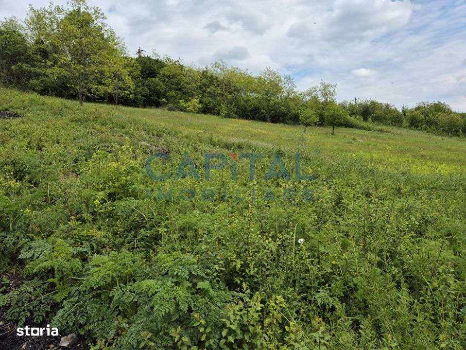 Oportunitate de investitie! Teren extravilan 11 400 mp, Apahida - Imagine principală: 2/6